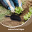 De Jardin Portable, À Terre Pour Plantation 10