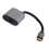 Adaptateur USB-C vers Mini DisplayPort 1.4/3.1, 10 Gbps 10