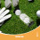 6 Unidades Transparentes Para Armazenamento De Bolas De Golfe 9