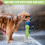 Electric Shampoo Spender Für Und Katzen 9