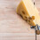 10 Unidades Repuesto Queso, 6 Pulgadas 5