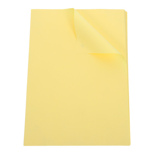 200 Pcs A4 70g , Design Lisse Pour Impression Nette