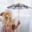 Parasol Chinês À Mão Para Decoração, , 6