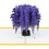 Wisteria 3D Hälsokort Blommor 9
