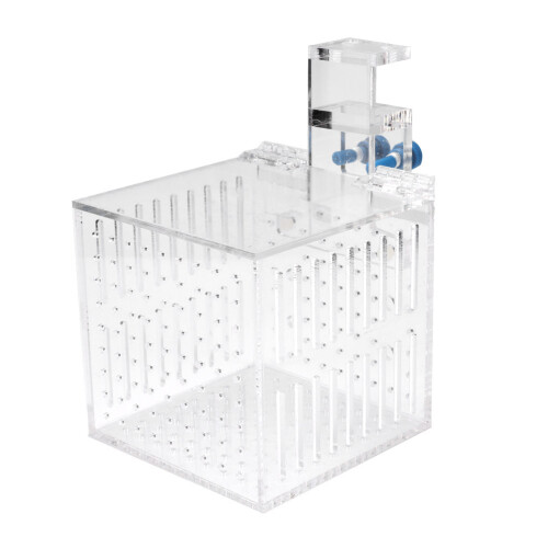 Vielseitige Acrylfischisolationsbox 10,5 cm transparent