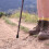 6 Unidades De Bastón De Trekking Con Absorción De 7