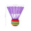 32 Cattivelli Badminton Per E Ragazzi 3