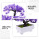 Albero Bonsai Artificiale in Pino per Scaffali (Viola) 8