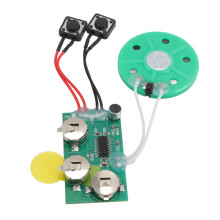 Music & Voice Recording Module with 120 Sec Storage and Integrated Speaker