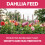 Vitax Vitax Liquid Dahlia Feed Concentrated 1L 5