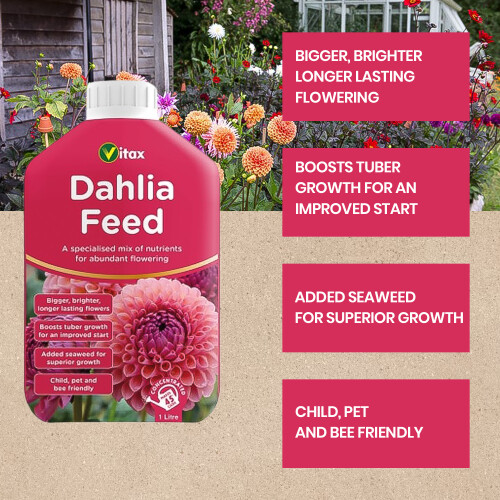 Vitax Vitax Liquid Dahlia Feed Concentrated 1L 2