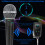 2PCS Wireless Dynamic Microphone Set with Receiver for Karaoke & Singing 10