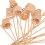 Spiraal Diffuser Stick Beige 20 Stuks 9,1x1,2x1,2 Inch 8
