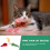 3St Duurzaam Speelgoed Cartoon Design Kat 9