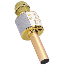 Kabelloses Mikrofon Lautsprecher Bluetooth Karaoke Tragbar 5W 2400mAh