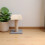 Cat Tree Ersättningsbas: Skrapningsbräda I Fuzzy Material För M8/M10 5