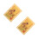 2Pcs Kinesisk Fengshui 2025 Ormens Skydd 6