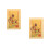 2Pcs Kinesisk Fengshui 2025 Ormens Skydd 5