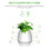 Smart Music Flower Pot with LED Night Light, Touch Sensor, 11.5cm White 2