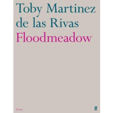 Floodmeadow by Toby Martinez de las Rivas Paperback Book