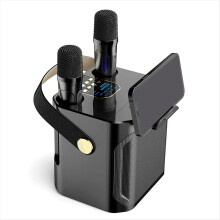 Højtydende Karaoke Bluetooth-højttaler Bærbar 360 graders stereo surround trådløs subwoofer med dobbelt mikrofon, sort