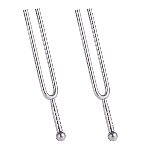 2X A Tuning Fork - "A" 440 Hz με μαλακή θήκη
