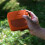 Til SoundLink-Micro-etui Stødsikkert silikonecover 4