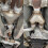 51 63 76MM Y-rør dobbelt udløbsdæmperspids 6