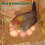 Nid de poules en cocotier naturel 5
