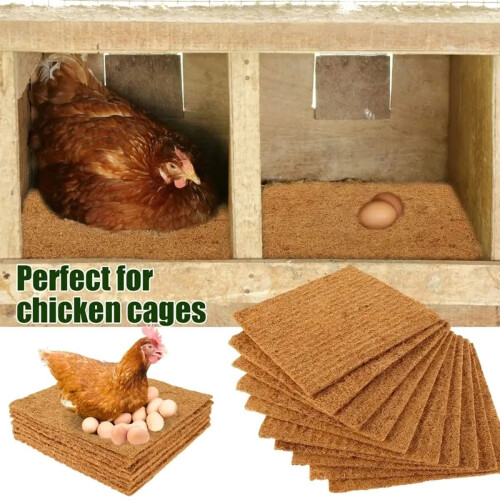 Nid de poules en cocotier naturel 2