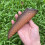 19 CM Fixed Blade Knife Scabbard Embossed Cowhide Scabbard Universal Knife Case 5
