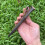 19 CM Fixed Blade Knife Scabbard Embossed Cowhide Scabbard Universal Knife Case 4