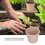 Biodegradable 6cm Peat Pots - 50Pcs Ideal for Seedling Transplant 6