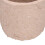 Biodegradable 6cm Peat Pots - 50Pcs Ideal for Seedling Transplant 11