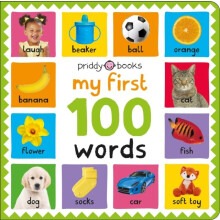 My First 100 Words by Roger Priddy Other Book