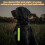 6Pcs Reflective Strips, Safety Reflector Pendants Key Chains for Backpack Clothes Cycling 5