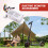 36V 350W Brushless Controller+Bluetooth Meter+Light+Accelerator Kit for M365/M365 Pro Electric Scooter 10