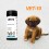 Pet Urine Testing Strips, 100 Urinalysis Parameter Tests for Dogs,Cats,Vets, Accurate Veterinarians 7