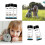 Pet Urine Testing Strips, 100 Urinalysis Parameter Tests for Dogs,Cats,Vets, Accurate Veterinarians 11