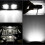 White UTV Dome Light Roll Bar Mount LED Cage Utility W/Switch for RZR 4WD 10