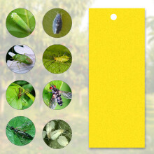 20pcs Sticky Flying Insect Traps 20*10cm Dual-Sided for Fungus Gnats Can Be Cut