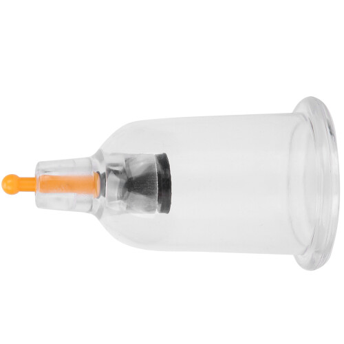 Coppe da vuoto in plastica trasparenti B6 2