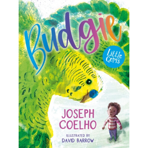 Budgie by Joseph Coelho Paperback Book