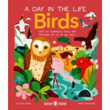 Birds A Day in the Life by Neon Squid Hardcover Book