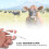 10Packs Pet RFID Microchip ReadWrite 2.12x12mm with Syringe 11