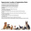 10Packs Pet RFID Microchip ReadWrite 2.12x12mm with Syringe 5