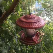 Roter hängender Vogelfutterspender Behälter, 18cm x 19cm Gartenzubehör