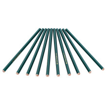 Drawing & Sketching Graphite Pencils 10 Pack 2B Perfect for Artists & Students