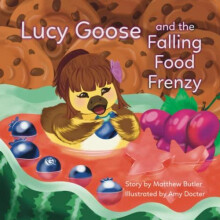 Lucy Goose and the Falling Food Frenzy by Matthew Butler Paperback Boo