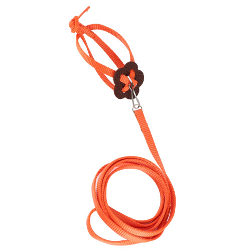 Adjustable Orange Nylon Bird Harness & Leash for Parrot, 120cm 1